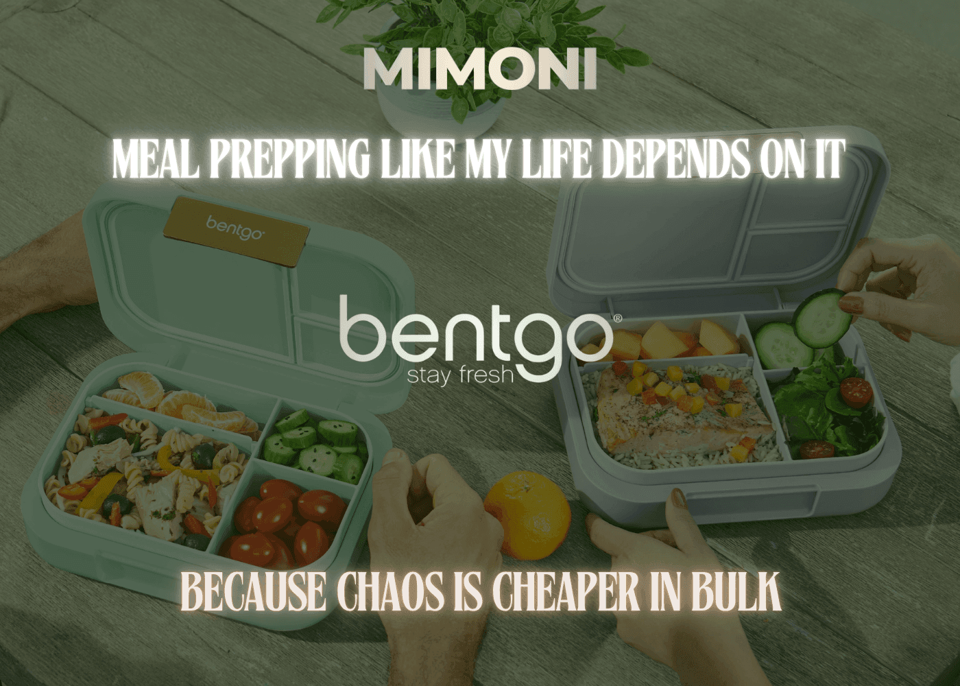 Bentgo: Meal Prepping Like My Life Depends on It