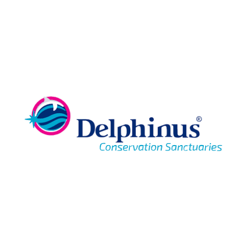 Delphinus