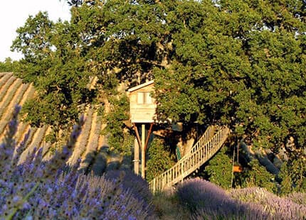 Ecobnb - Travel with Sustainable Accommodations