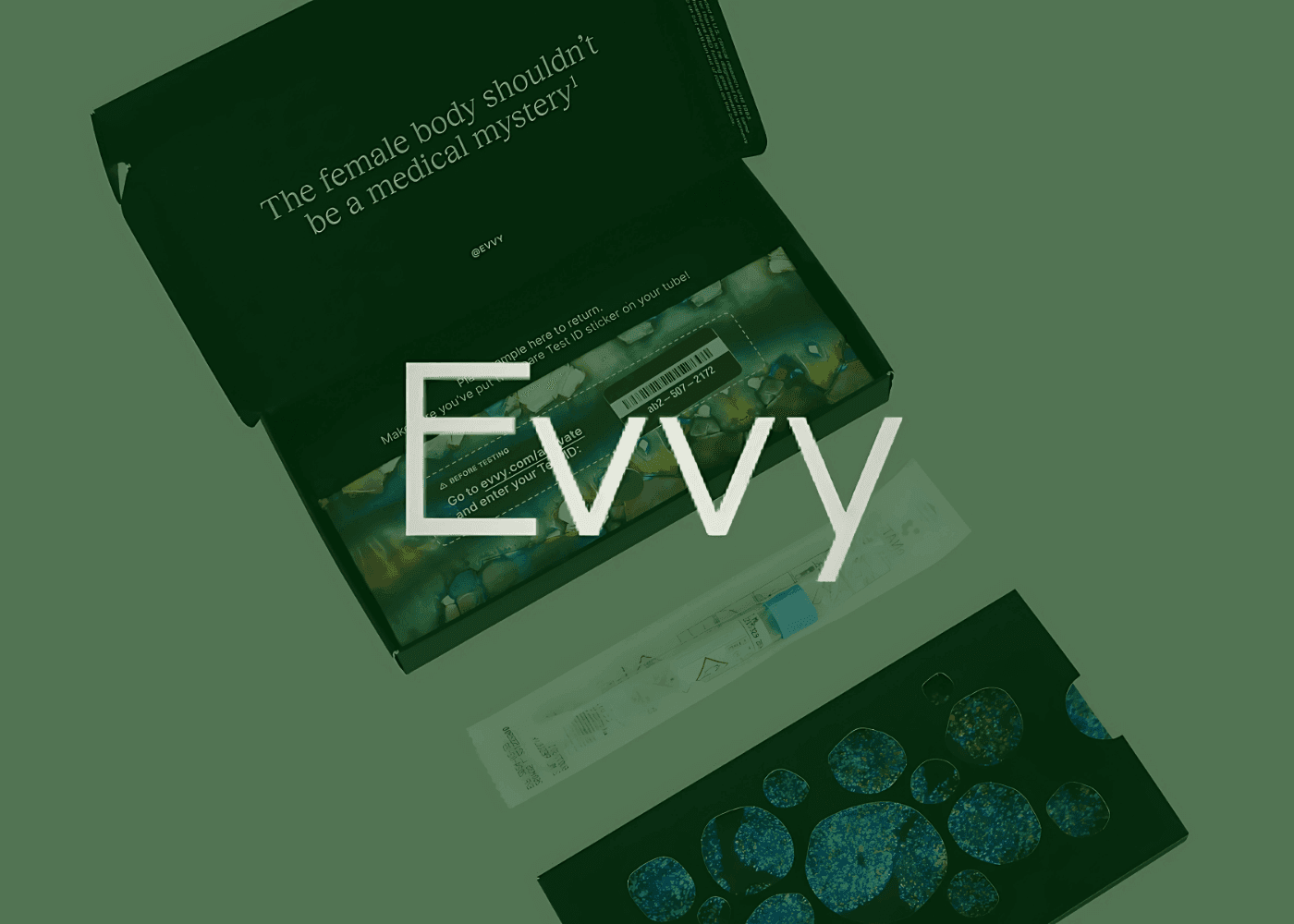 Evvy