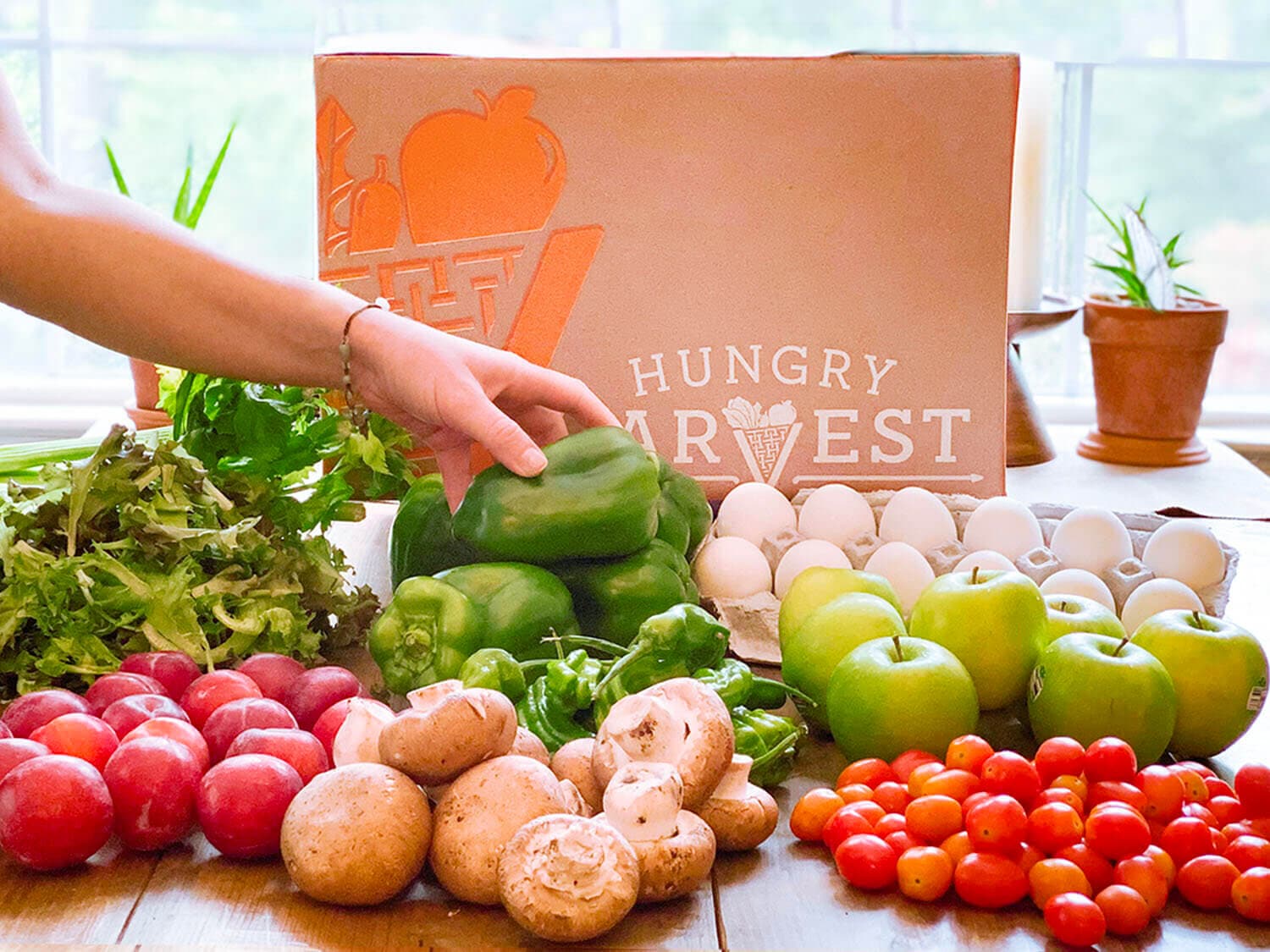 Why Hungry Harvest is Changing the Way We Think About Food Waste?