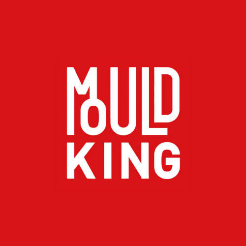 Mould King