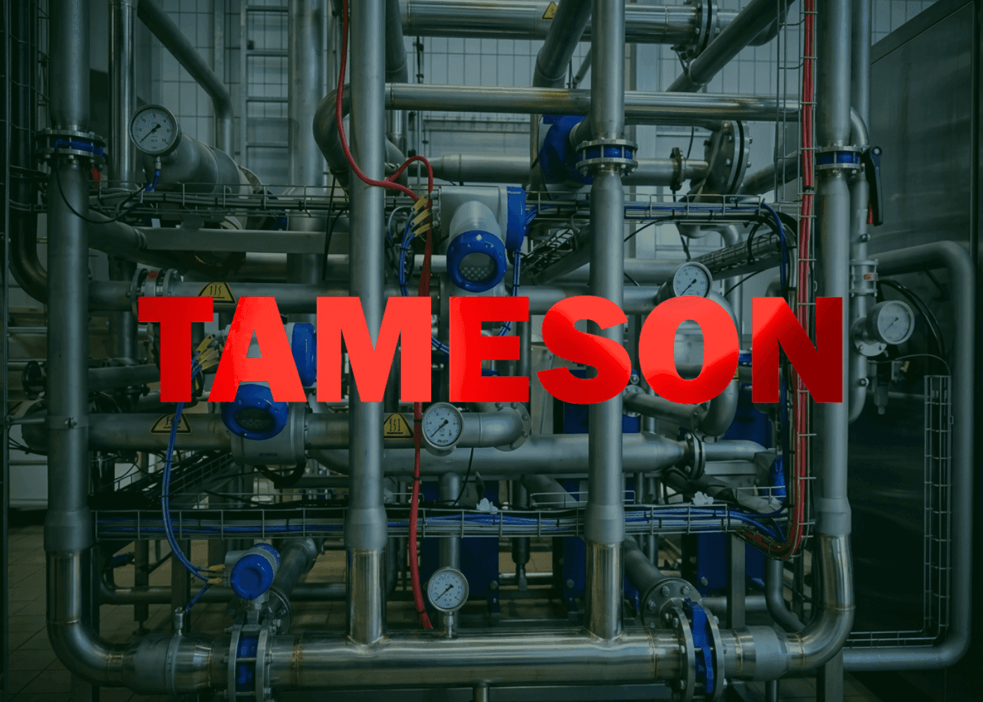 Tameson