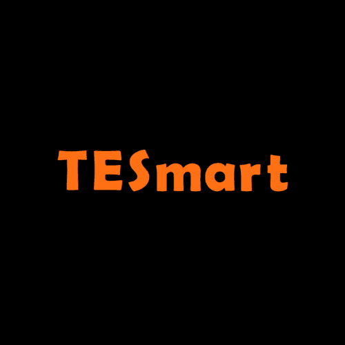 TESmart