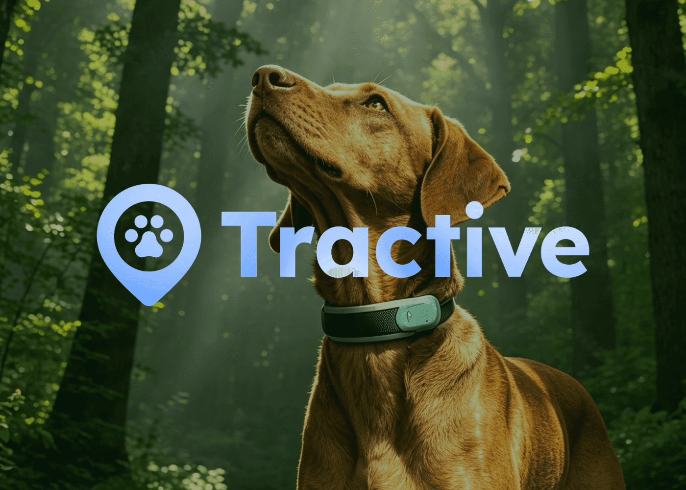 Tractive
